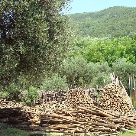 Il Castagneto Villa Teolo Eksteriør billede