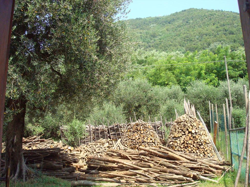 Il Castagneto Villa Teolo Eksteriør billede